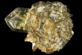 2.4" Twinned Selenite Crystals (Fluorescent) - Red River Floodway - #130298-1